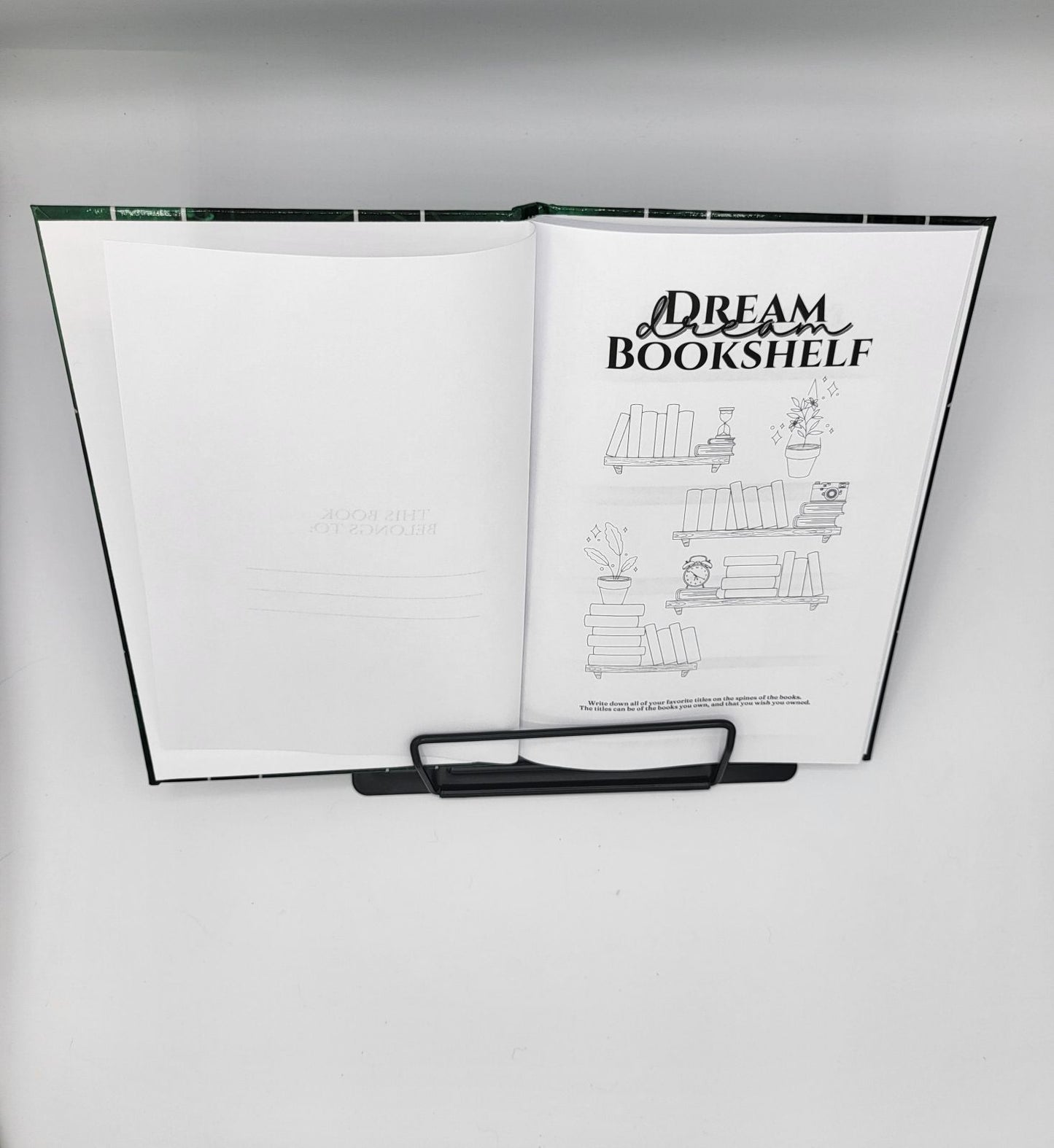 Dark Oz reader journal